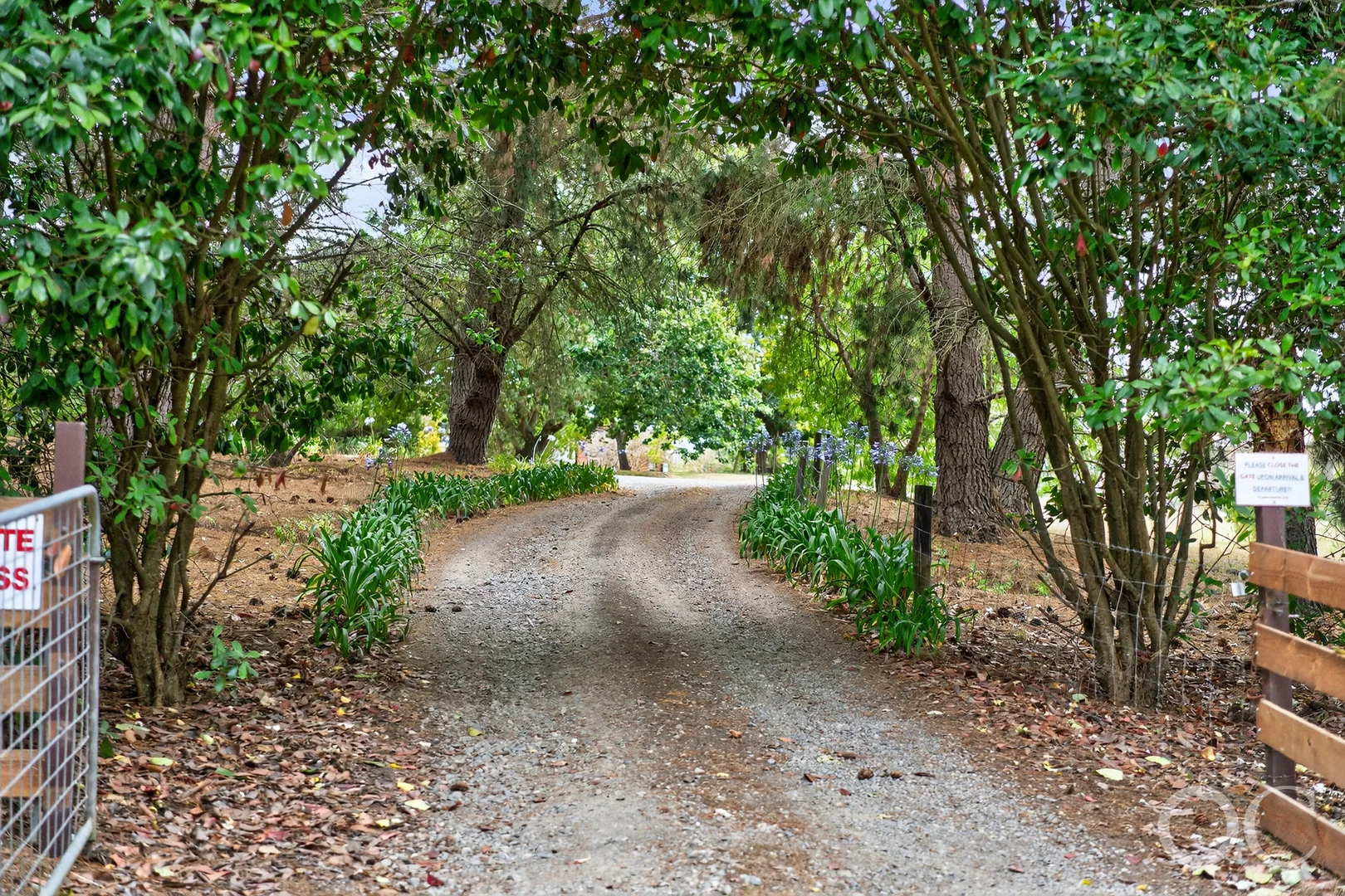 Additional image 32 of 3399 Victor Harbor Road, Mount Jagged SA 5211