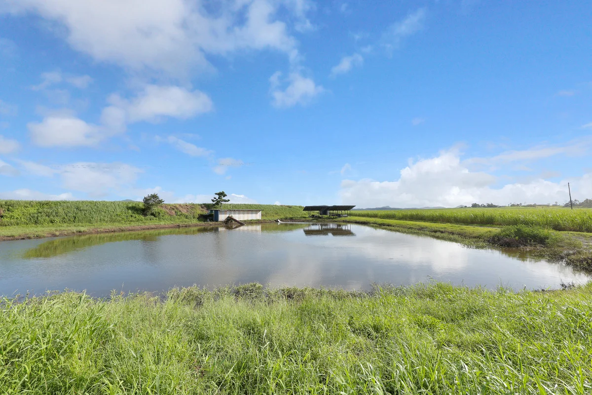 Additional image 13 of 214 Kennys Road, Marian QLD 4753