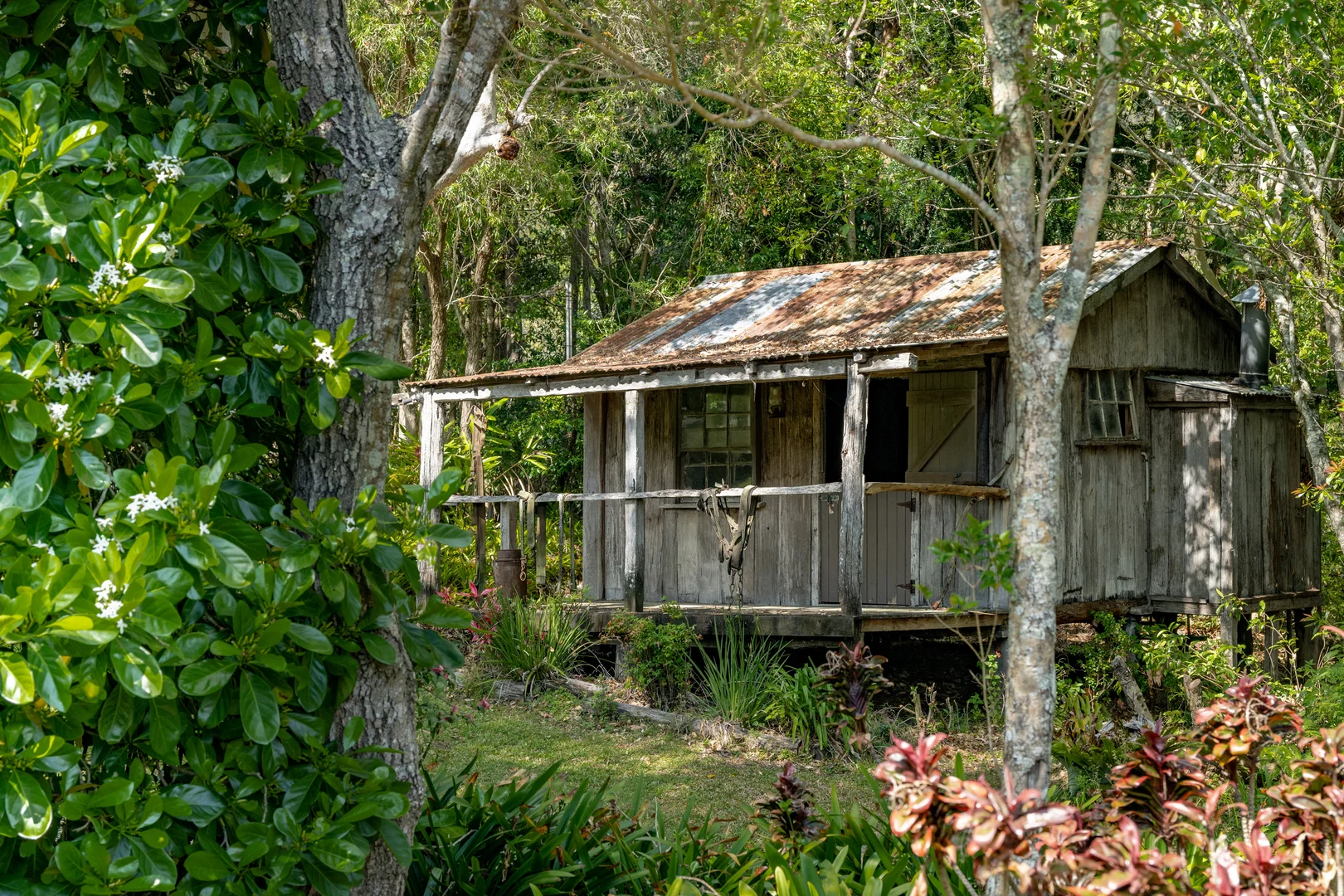 Additional image 21 of 3196 Christmas Creek Road, Lamington QLD 4285