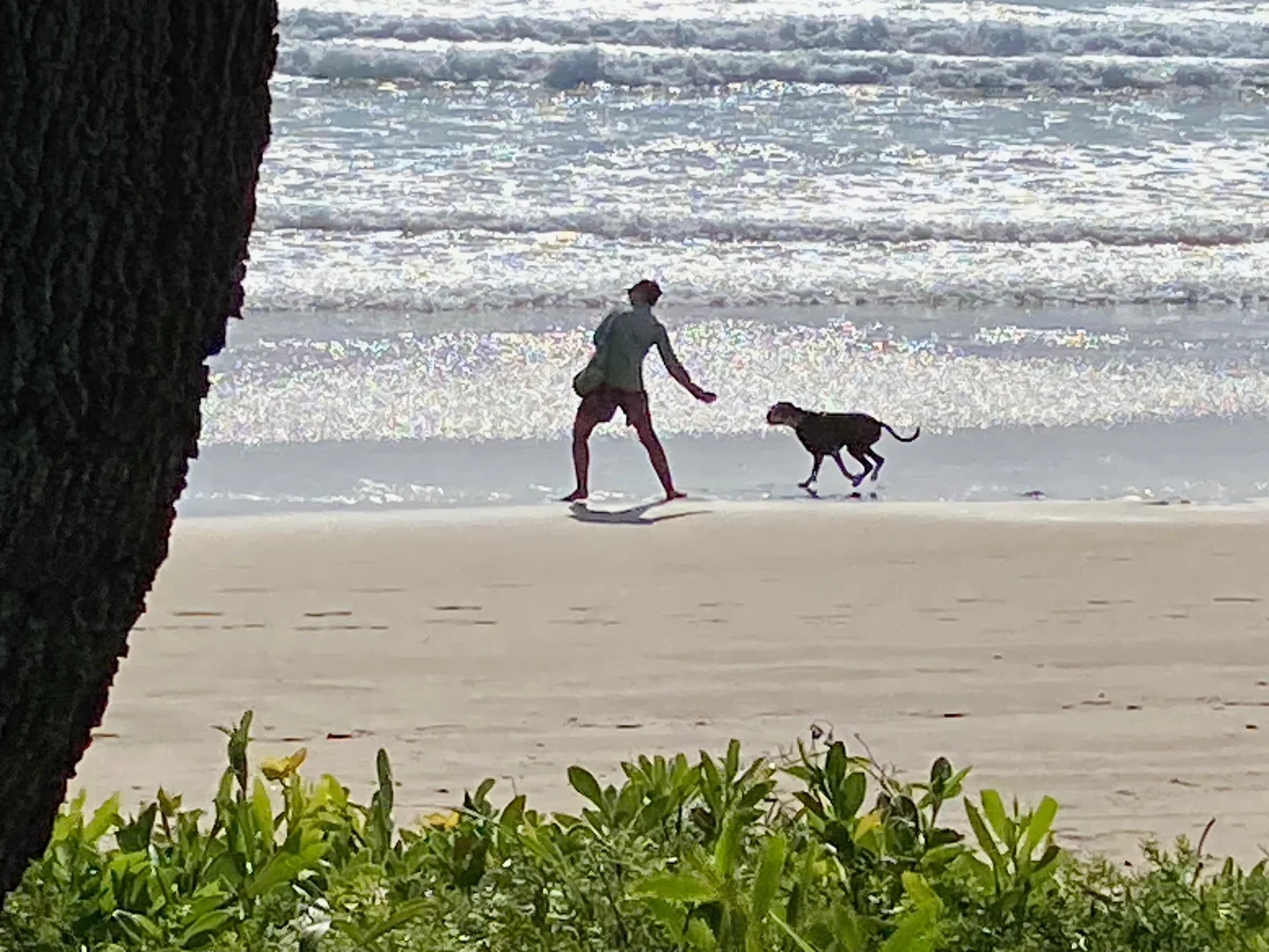 Additional image 34 of 2536 Solitary Islands Way, Arrawarra NSW 2456