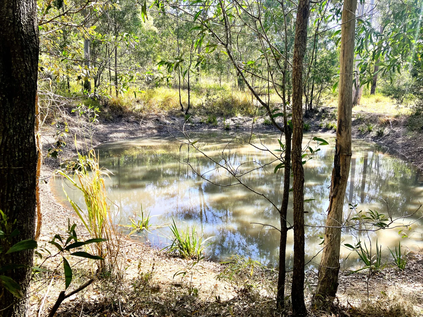 Additional image 7 of 119 Mount Mee Road, Delaneys Creek QLD 4514