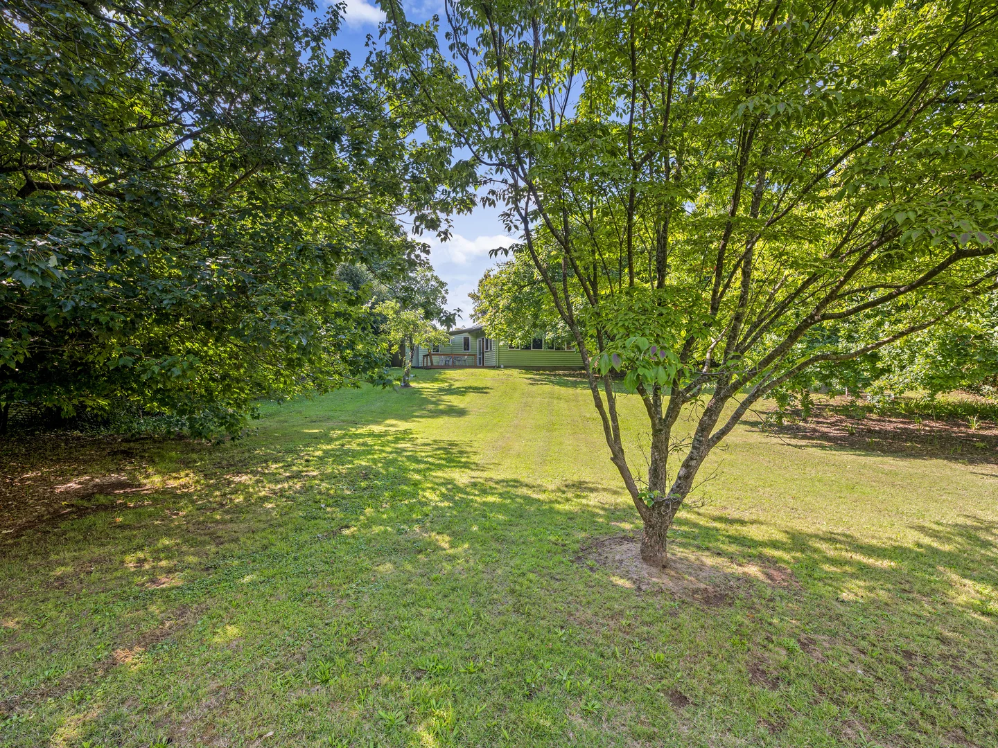 Additional image 19 of 22 Bridge Street, Jamieson VIC 3723