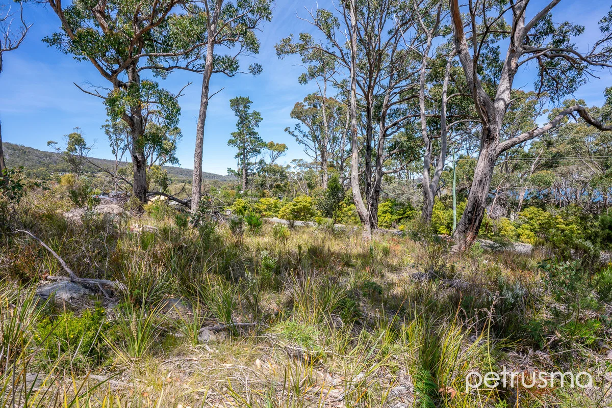 Additional image 18 of 1/185 White Beach Road, White Beach TAS 7184