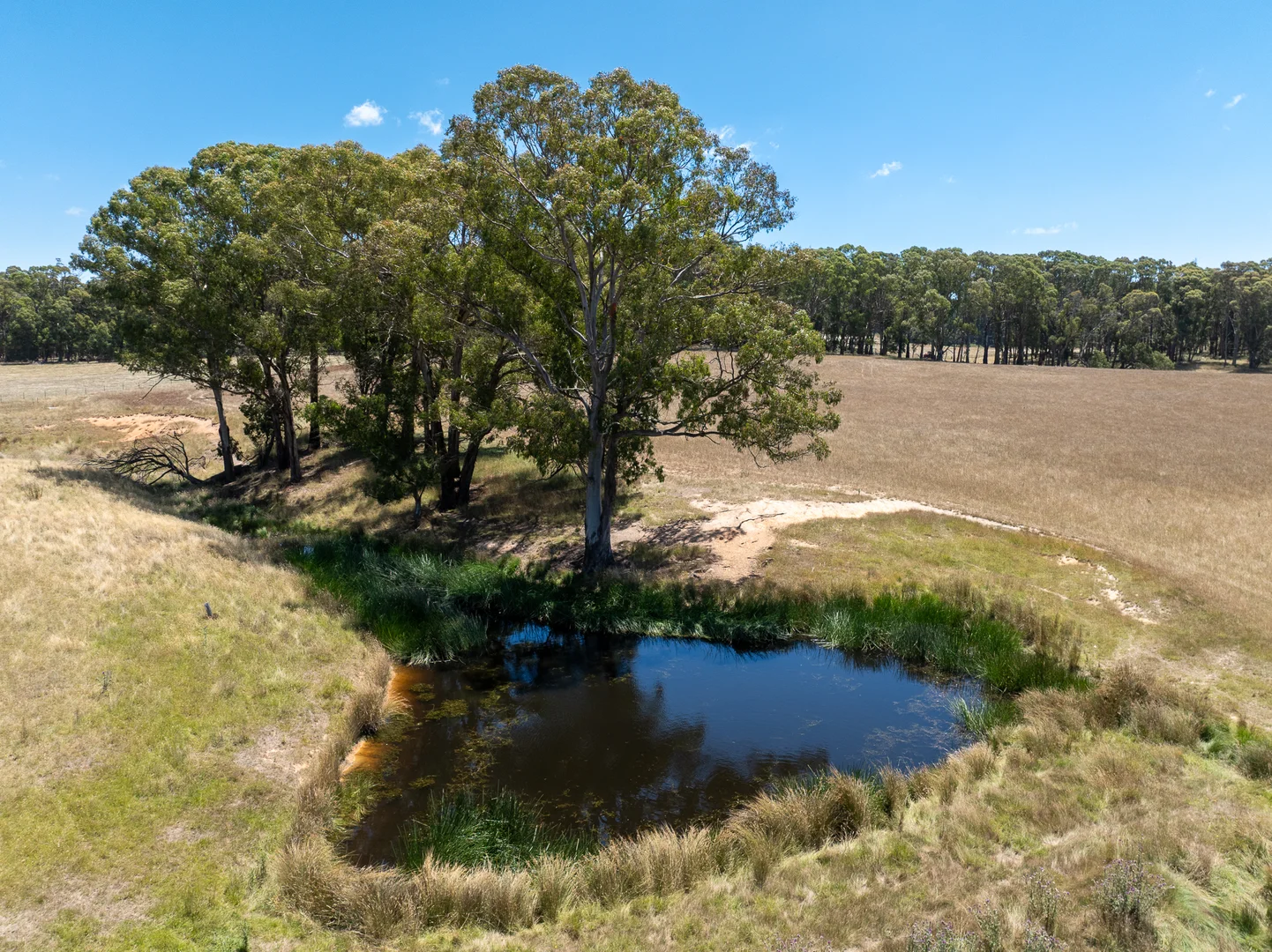 Additional image 23 of 951 Shooters Hill Road, Chatham Valley NSW 2787