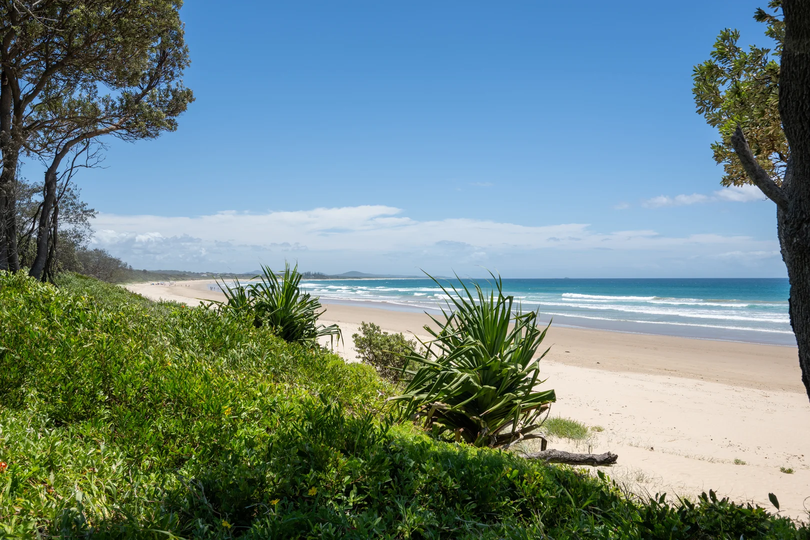 Additional image 33 of 2536 Solitary Islands Way, Arrawarra NSW 2456