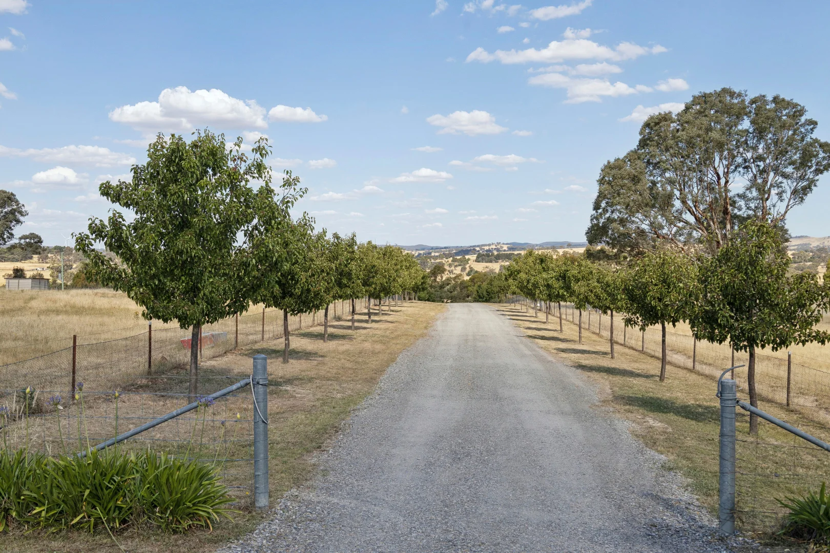 Additional image 7 of 100 Zouch Road, Yass NSW 2582