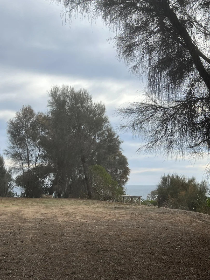 Additional image 14 of . Palana Road, Palana TAS 7255