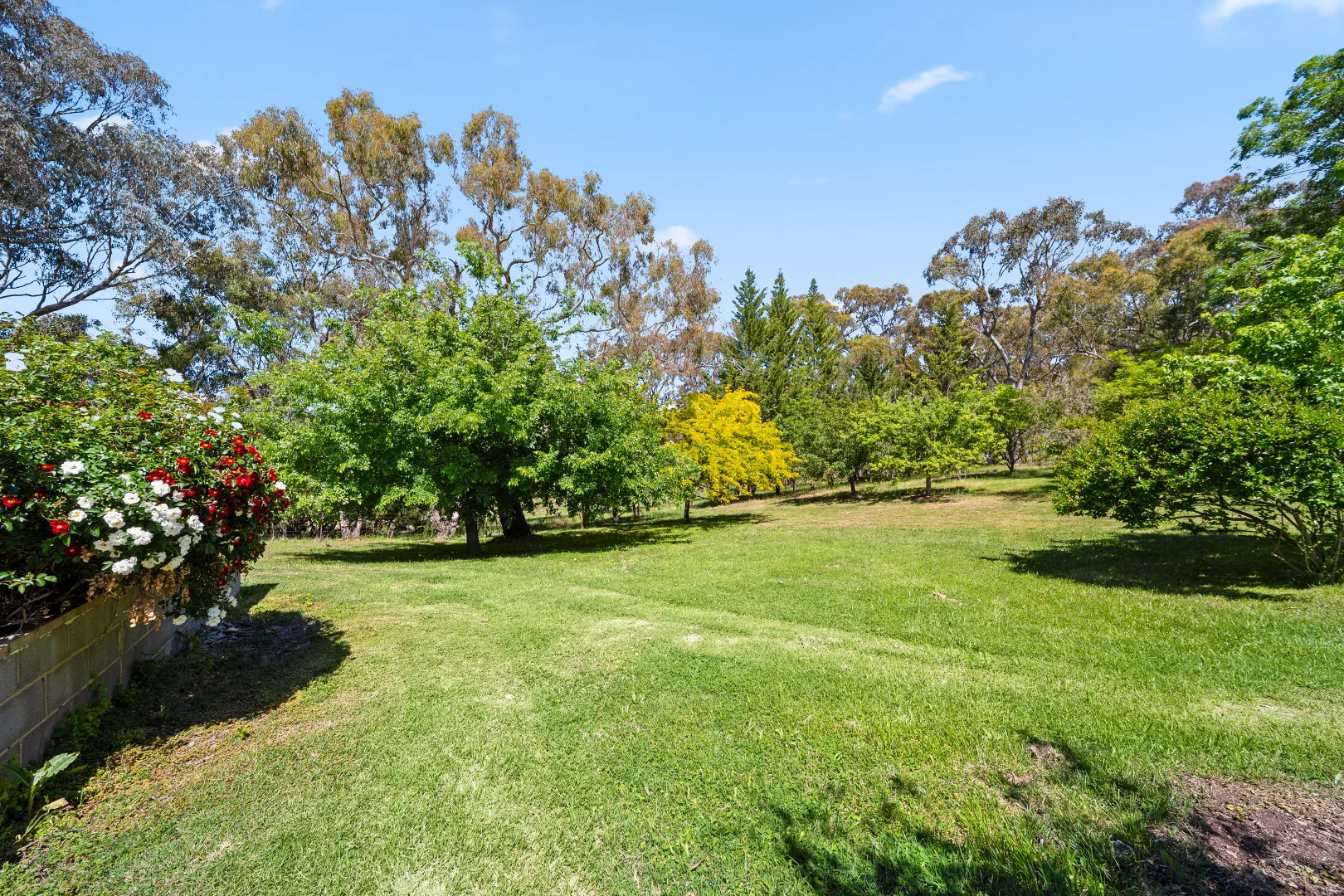 Additional image 42 of 87 Westmead Lane, Sutton NSW 2620