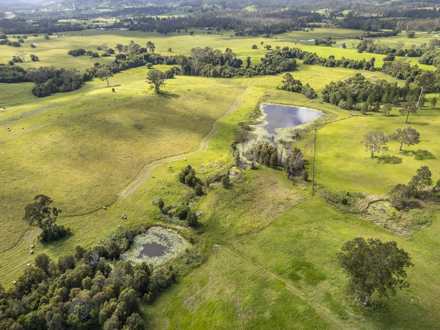 Additional image 6 of 2433 Old Bruce Highway, Coles Creek QLD 4570