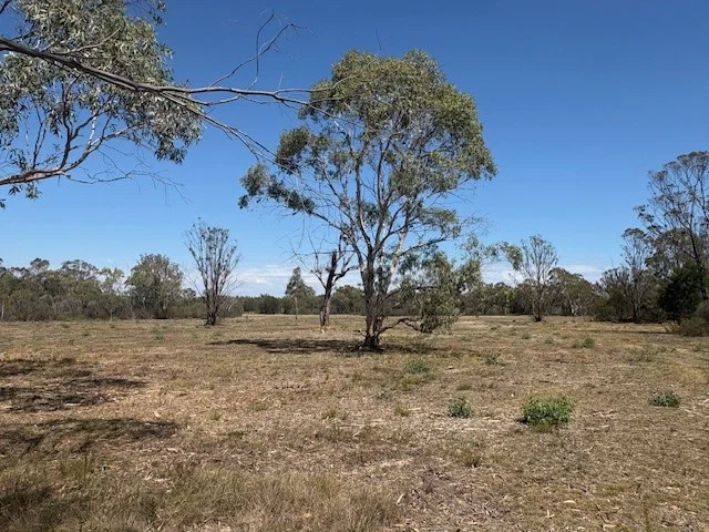 Additional image 3 of 1024 MAYFIELD RD, Braidwood NSW 2622