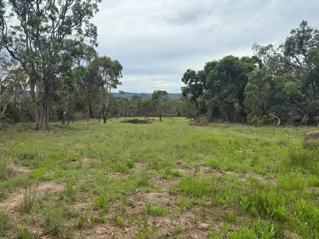 Additional image 15 of Lot/89 Fletcher Road, Ballandean QLD 4382