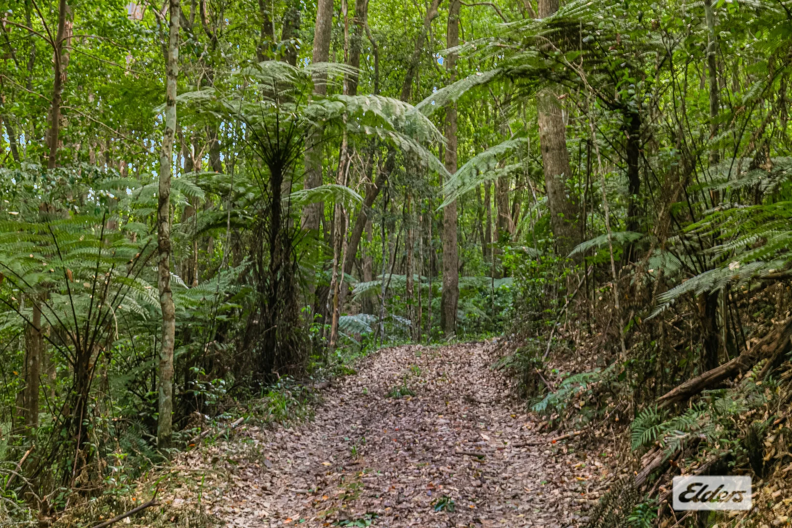 Additional image 24 of 92 Nolans Road, Stokers Siding NSW 2484