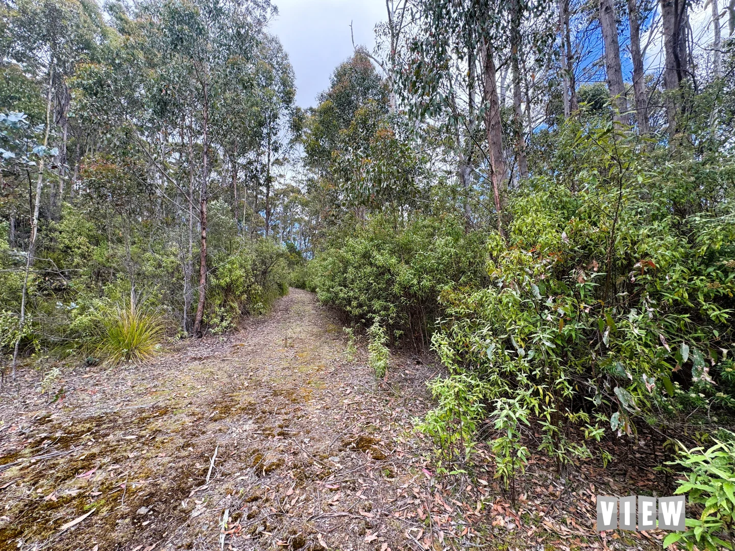 Additional image 3 of 520 German Town Road, St Marys TAS 7215