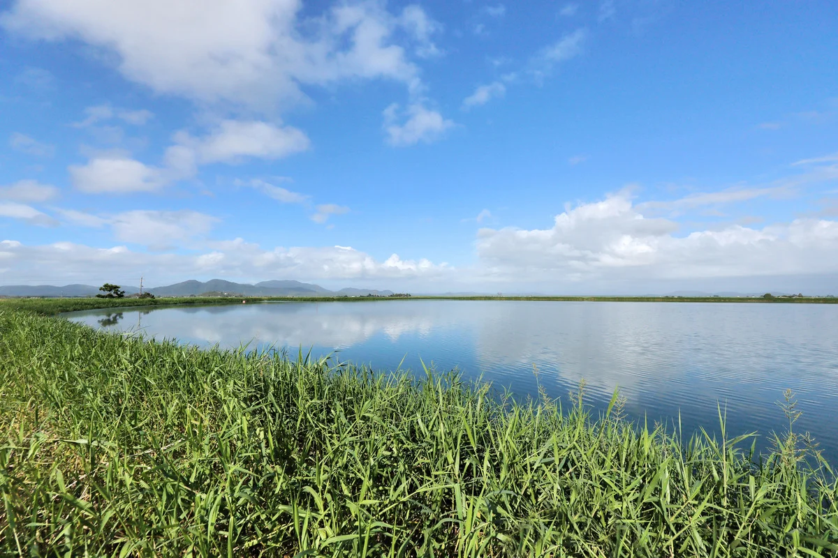 Additional image 5 of 214 Kennys Road, Marian QLD 4753