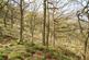 Additional image 3 of Elle Bank Wood, Hayfield, Derbyshire SK22