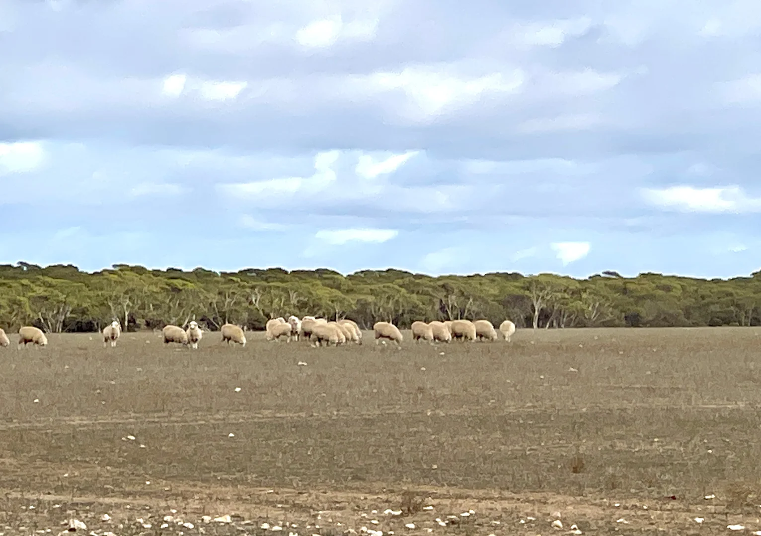 Additional image 5 of Section 22 Marchant Road, Mudamuckla SA 5680