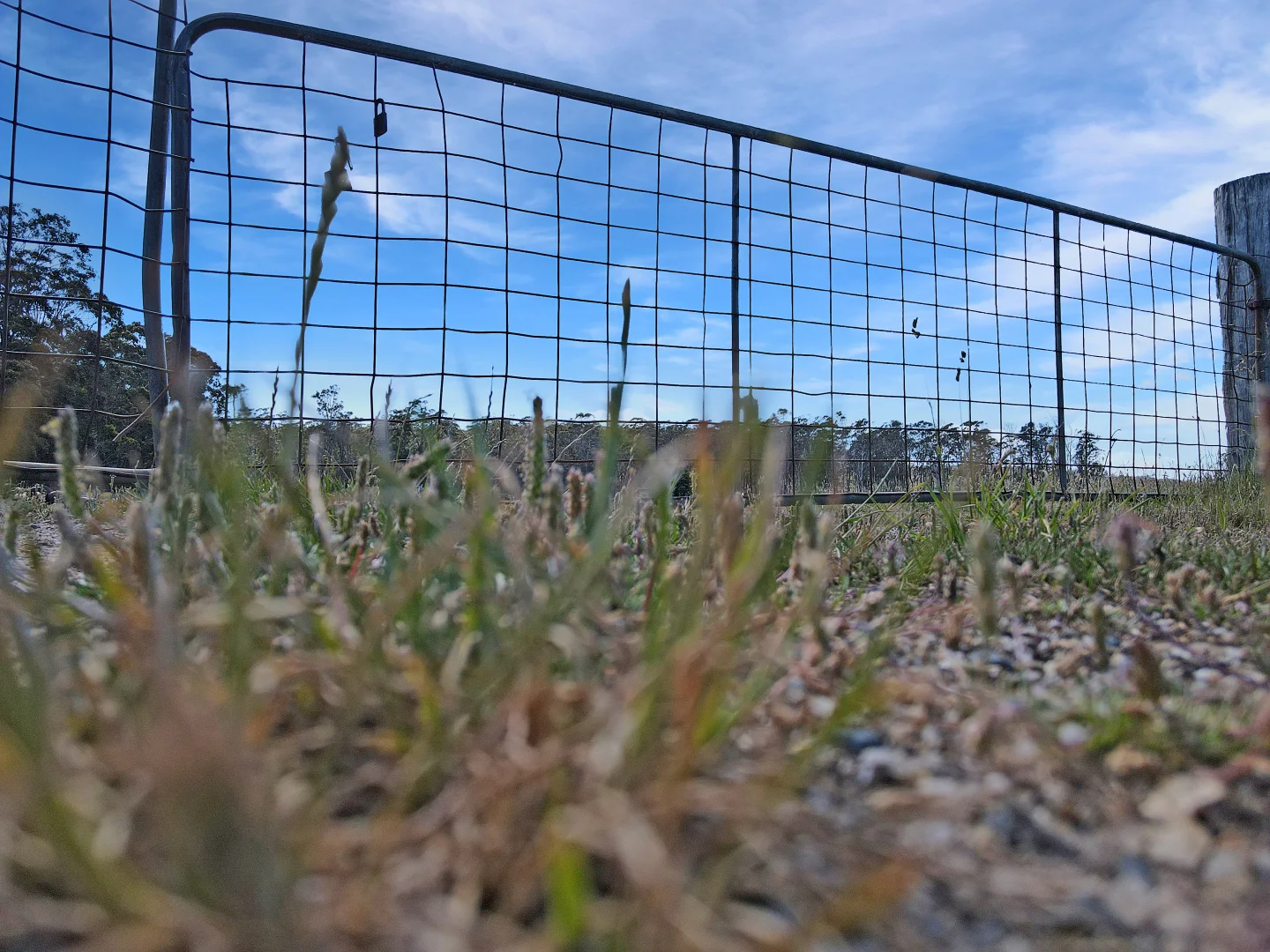 Additional image 4 of PID 6403396 Harefield Road, St Marys TAS 7215