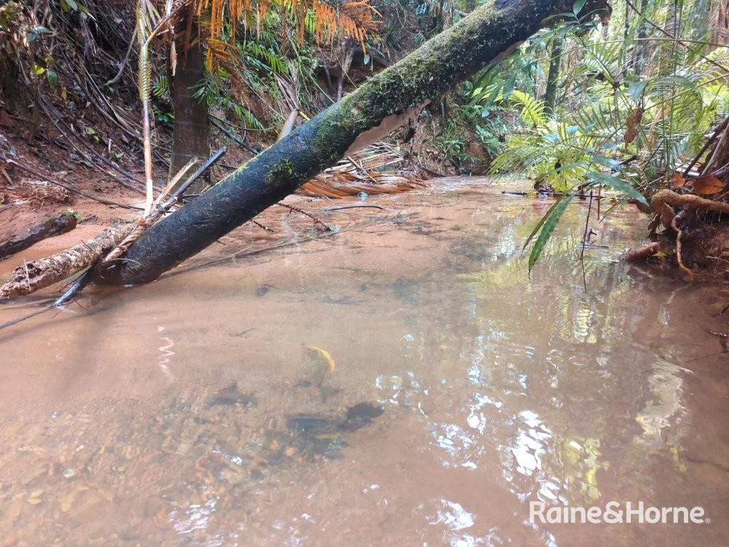 Additional image 13 of Lot 11 Milky Pine Road, Kimberley, Daintree QLD 4873