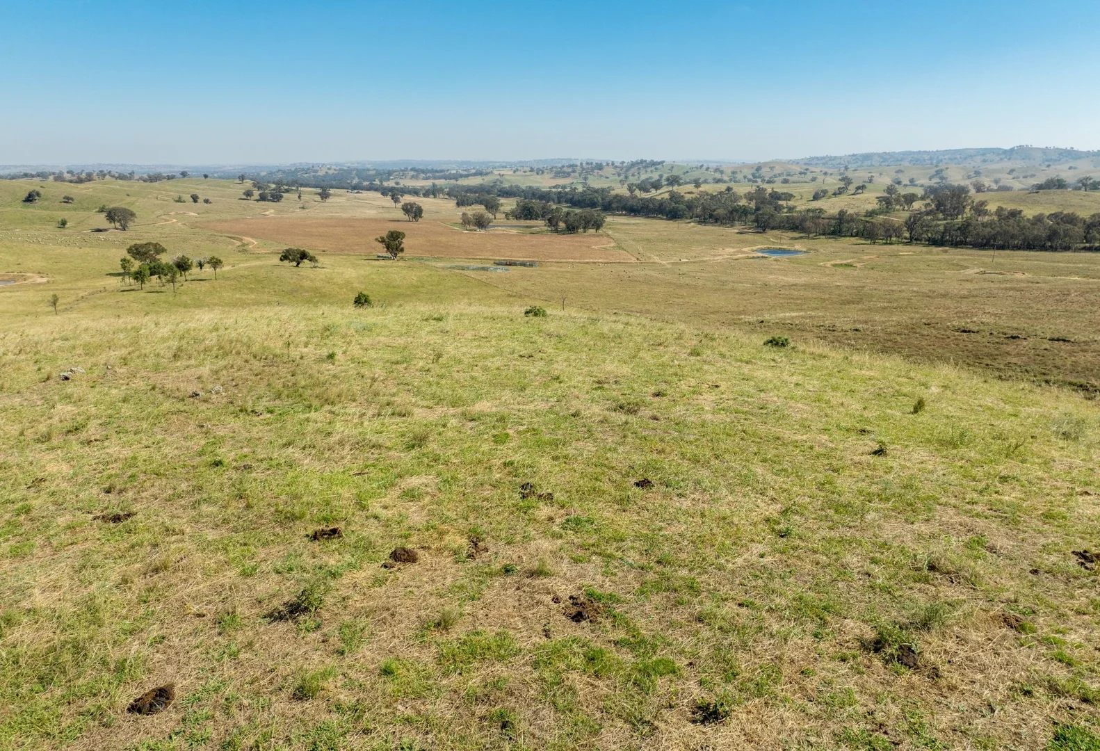 Additional image 12 of 'Shepherds Rest' 4535 Burrendong Way, Euchareena NSW 2866