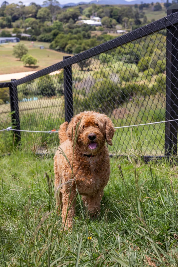 Additional image 34 of 44 Jervis Place, Beechmont QLD 4211