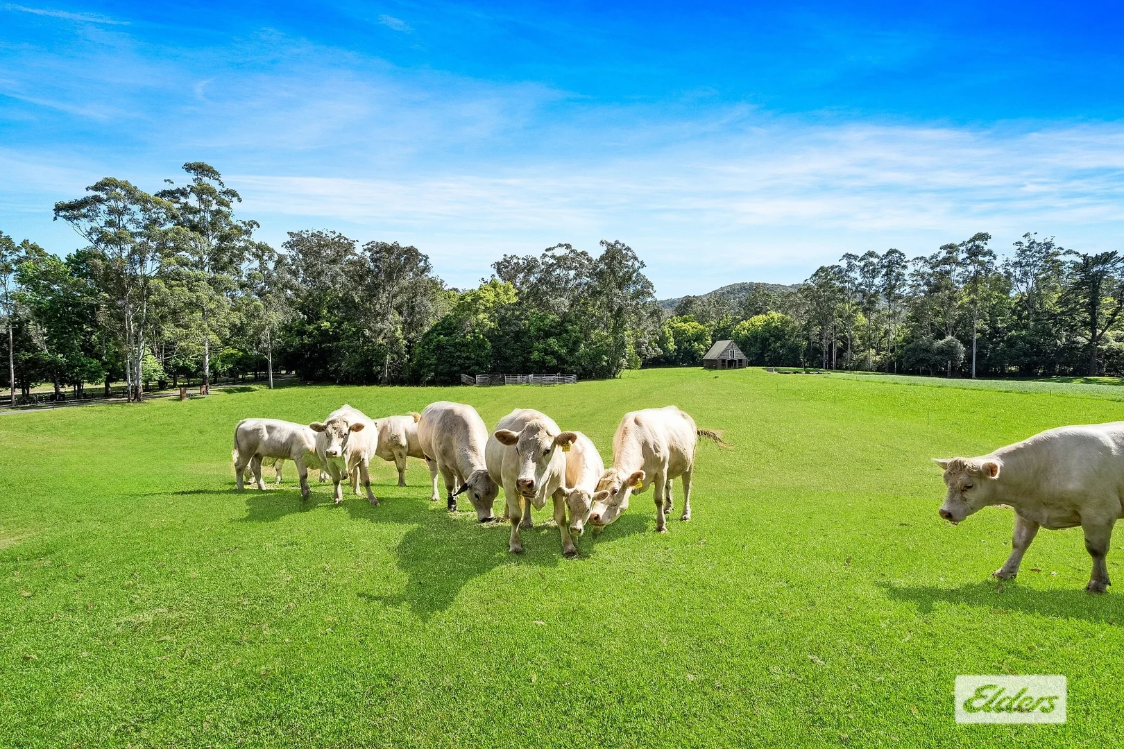 Additional image 19 of 1555 Yarramalong Road, Yarramalong NSW 2259