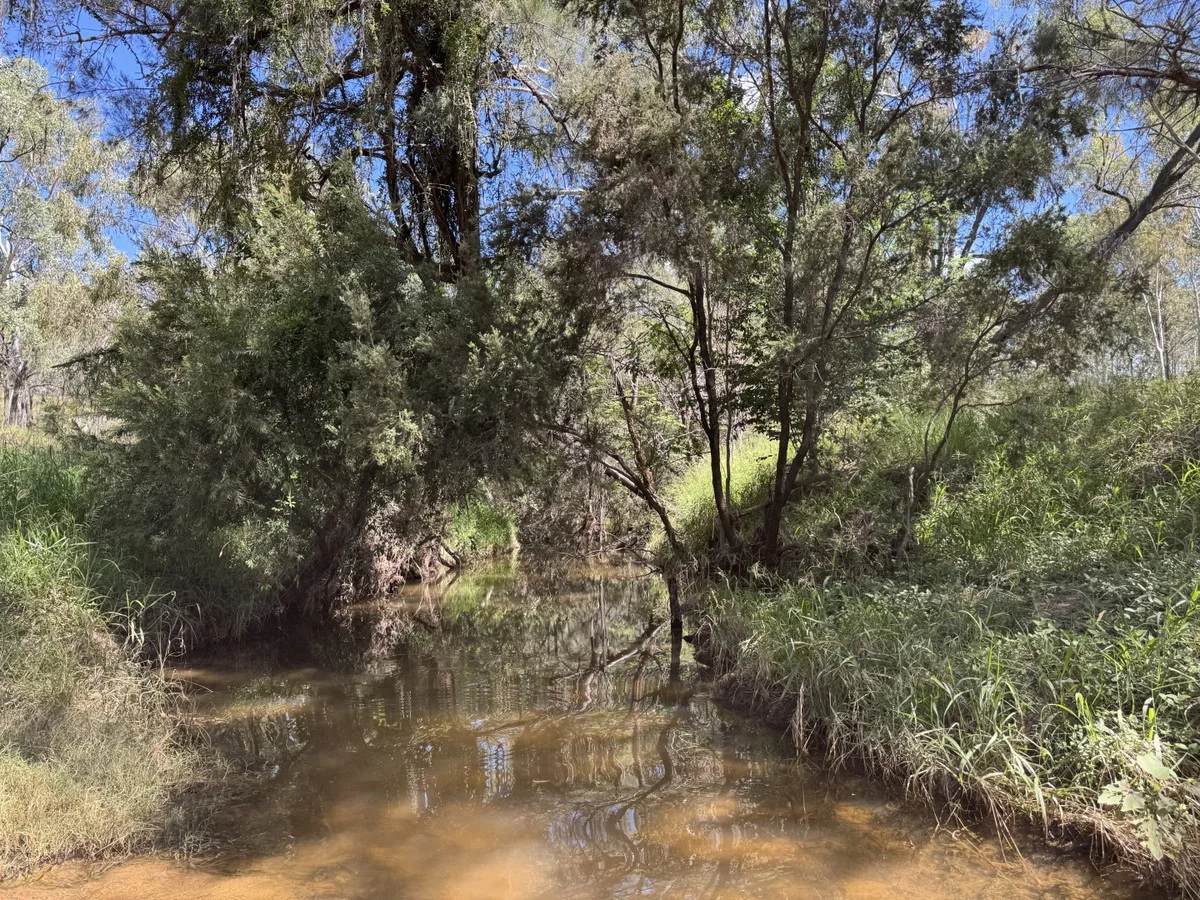 Additional image 31 of "Mustons" Frawleys Road, Thangool QLD 4716