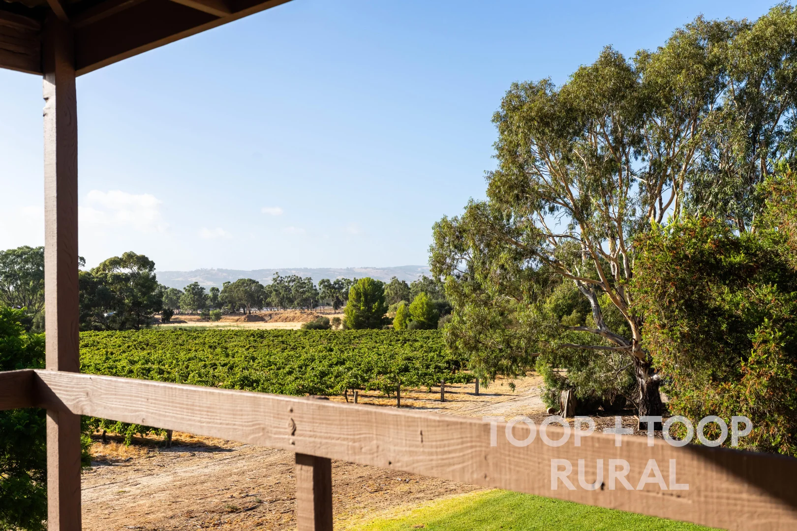 Additional image 37 of 145 Tolley Road, Nuriootpa SA 5355