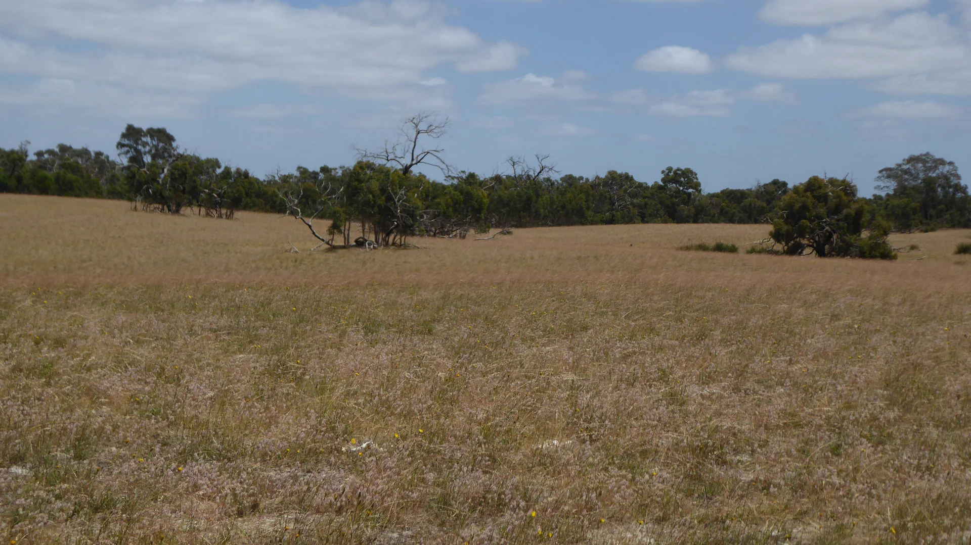 Additional image 18 of Lot 1 Walkington Hills Road, Frances SA 5262