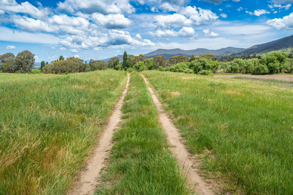 Additional image 16 of Swamp Lane, Dederang VIC 3691