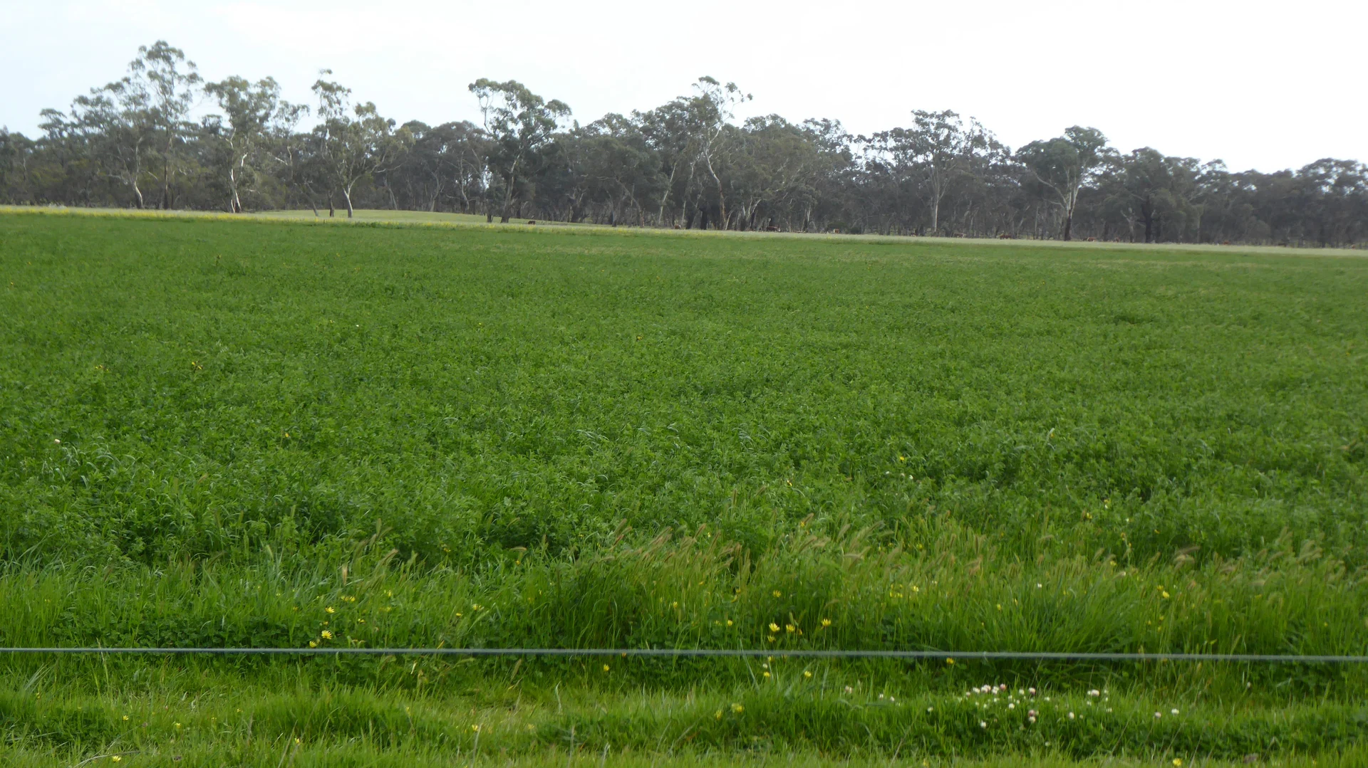 Additional image 20 of 2448 Bangham Road, Frances SA 5262