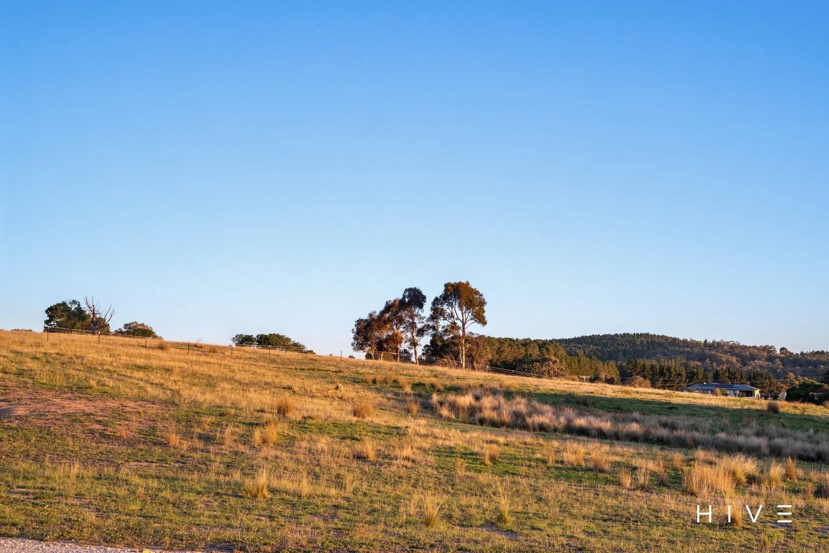 Additional image 16 of 8 Creekborough Road, Bywong NSW 2621