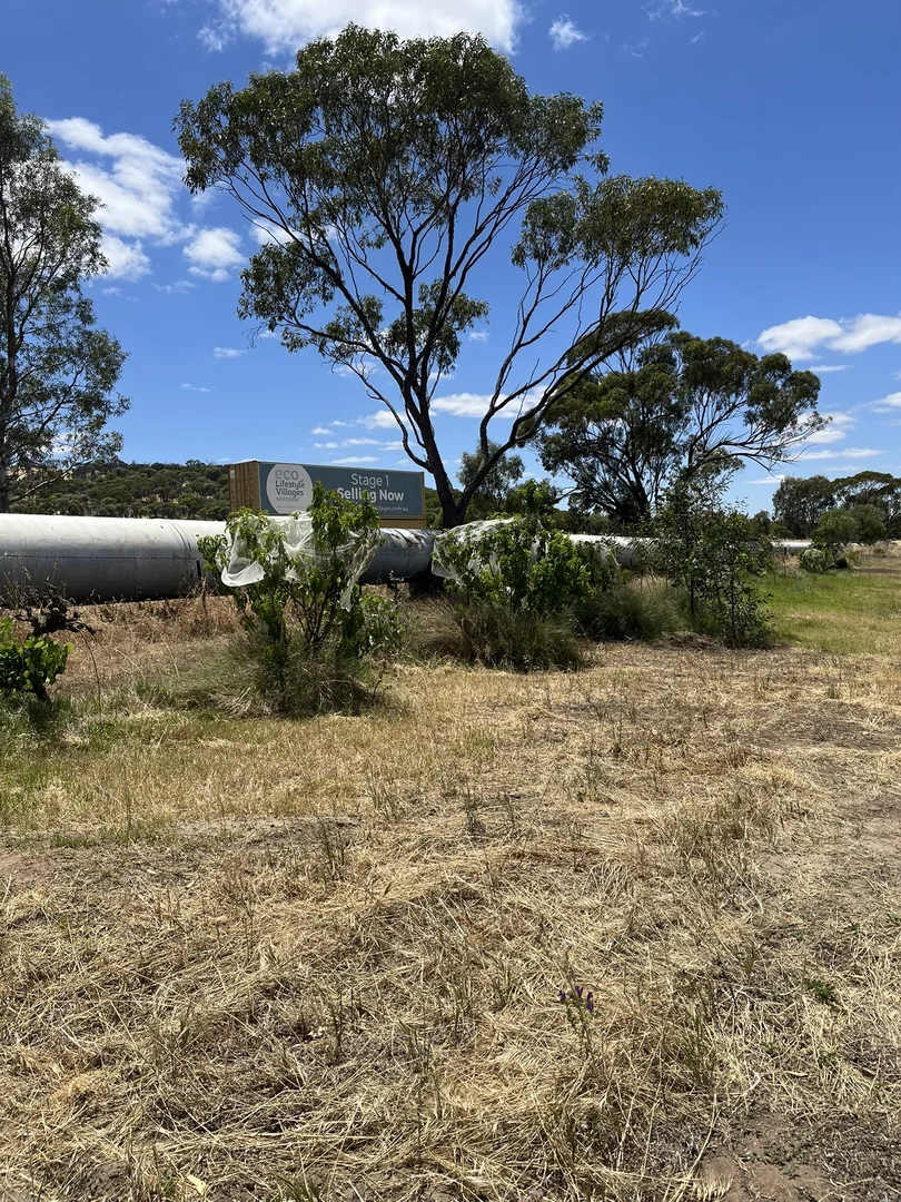 Additional image 4 of 6 Gratte Street, Northam WA 6401