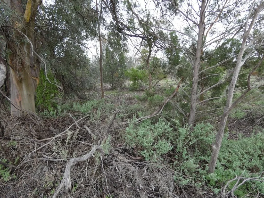 Additional image 6 of Lake View Dr, Hopetoun VIC 3396