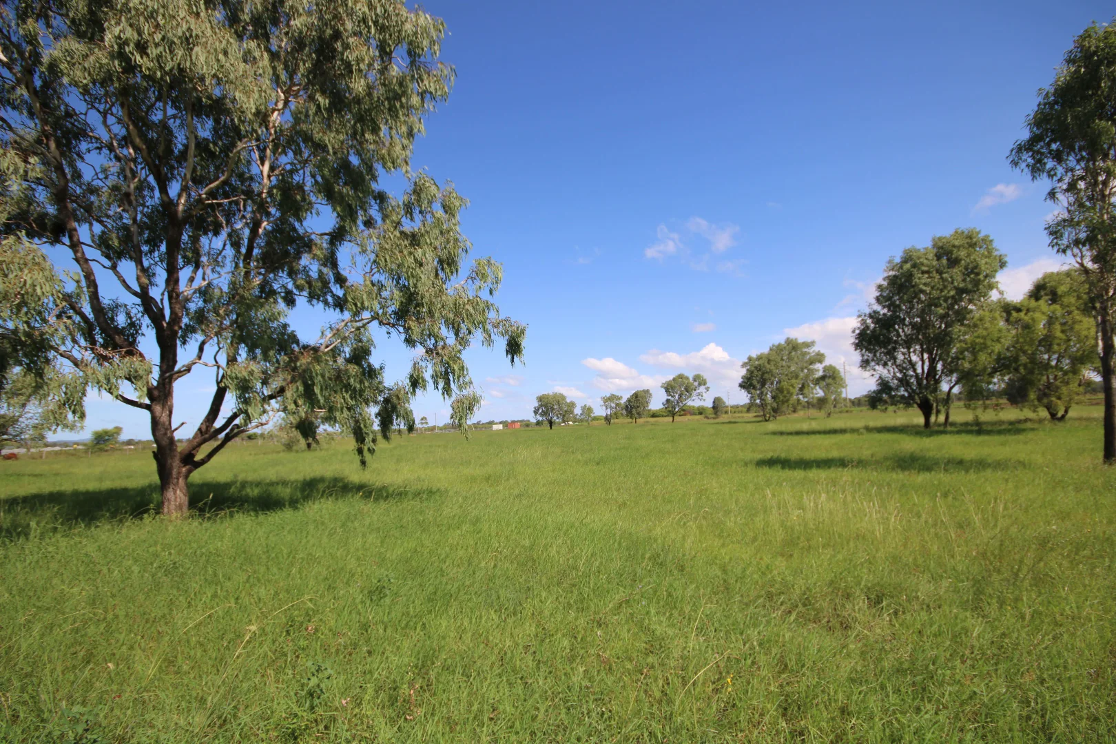 Additional image 24 of 366 GEORGE STREET, Depot Hill QLD 4700