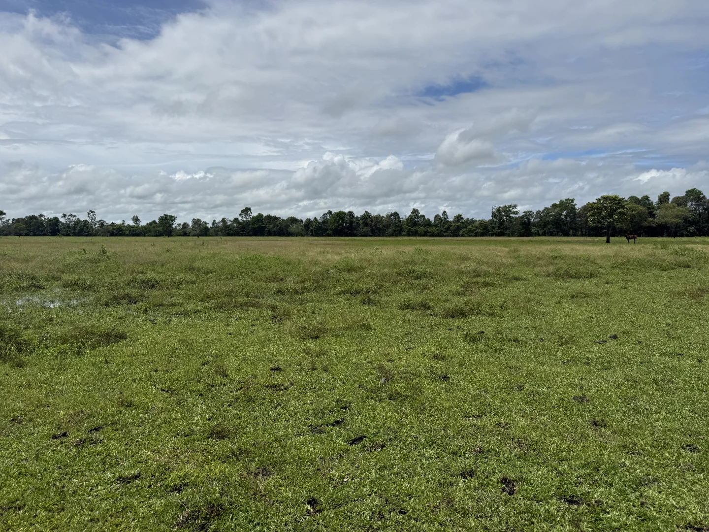 Additional image 13 of Jarra Creek QLD 4854