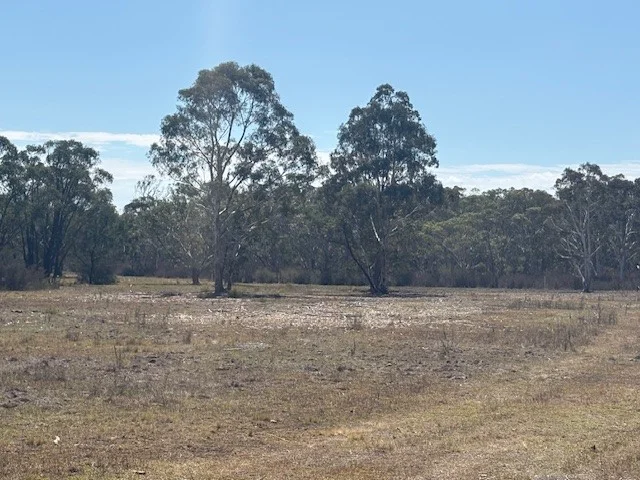 Additional image 5 of 1024 MAYFIELD RD, Braidwood NSW 2622