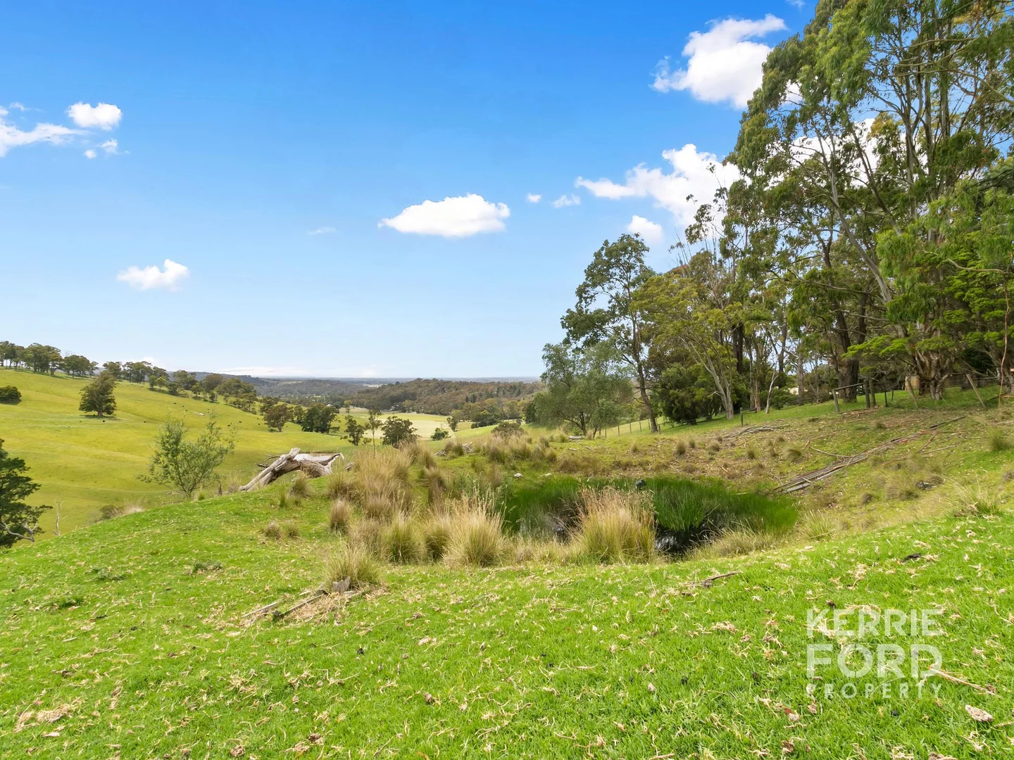 Additional image 11 of 14 Cooloongatta Drive, Tyers VIC 3844