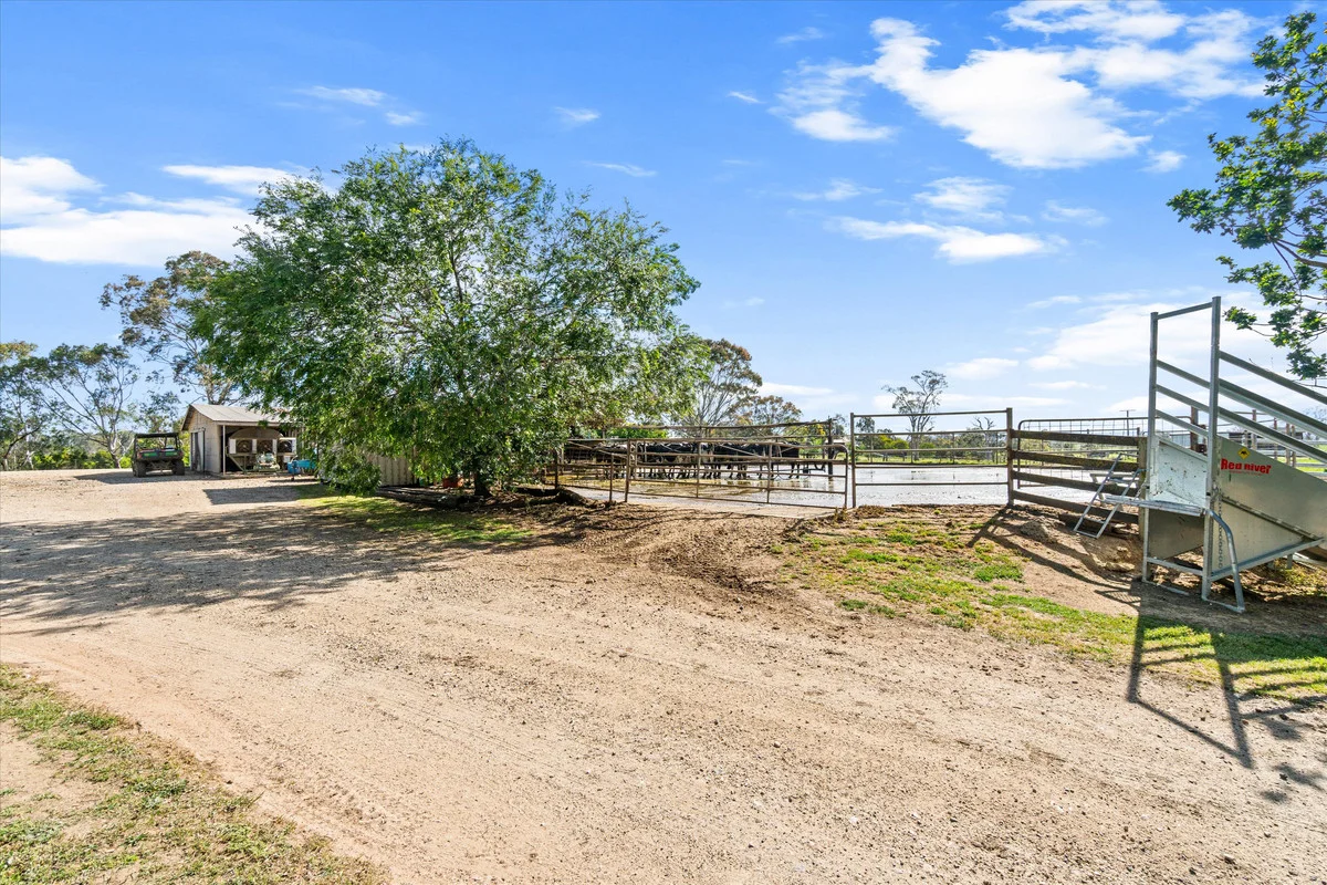 Additional image 38 of 335 Riverview Road, Heyfield VIC 3858