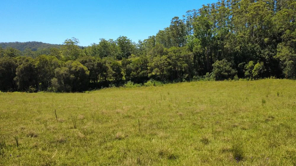 Additional image 12 of 17 Neilson Lane, Lorne NSW 2439