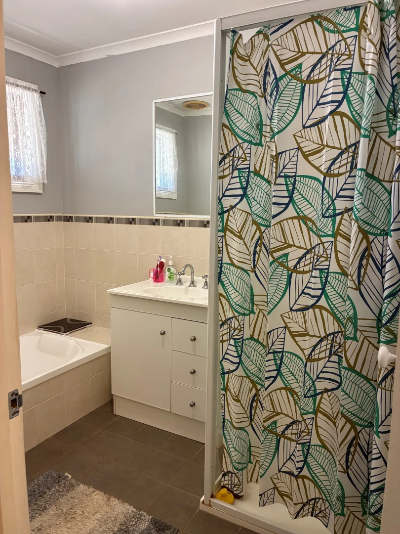 Additional image 15 of 3 Railway street, Binnaway NSW 2395