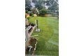 Additional image 23 of 6737 104th Pl, Chicago Ridge, IL, 60415