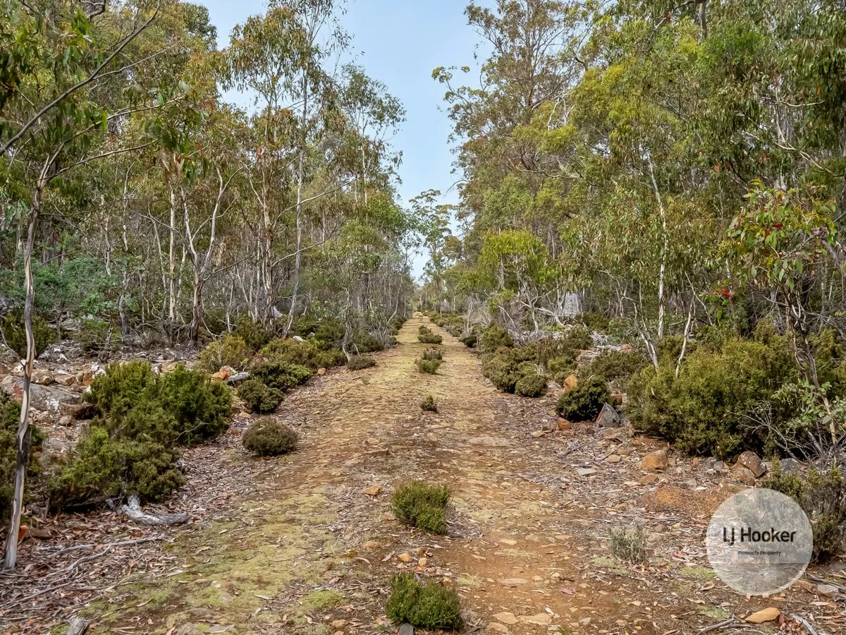Additional image 8 of 1 Glovers Road, Bothwell TAS 7030
