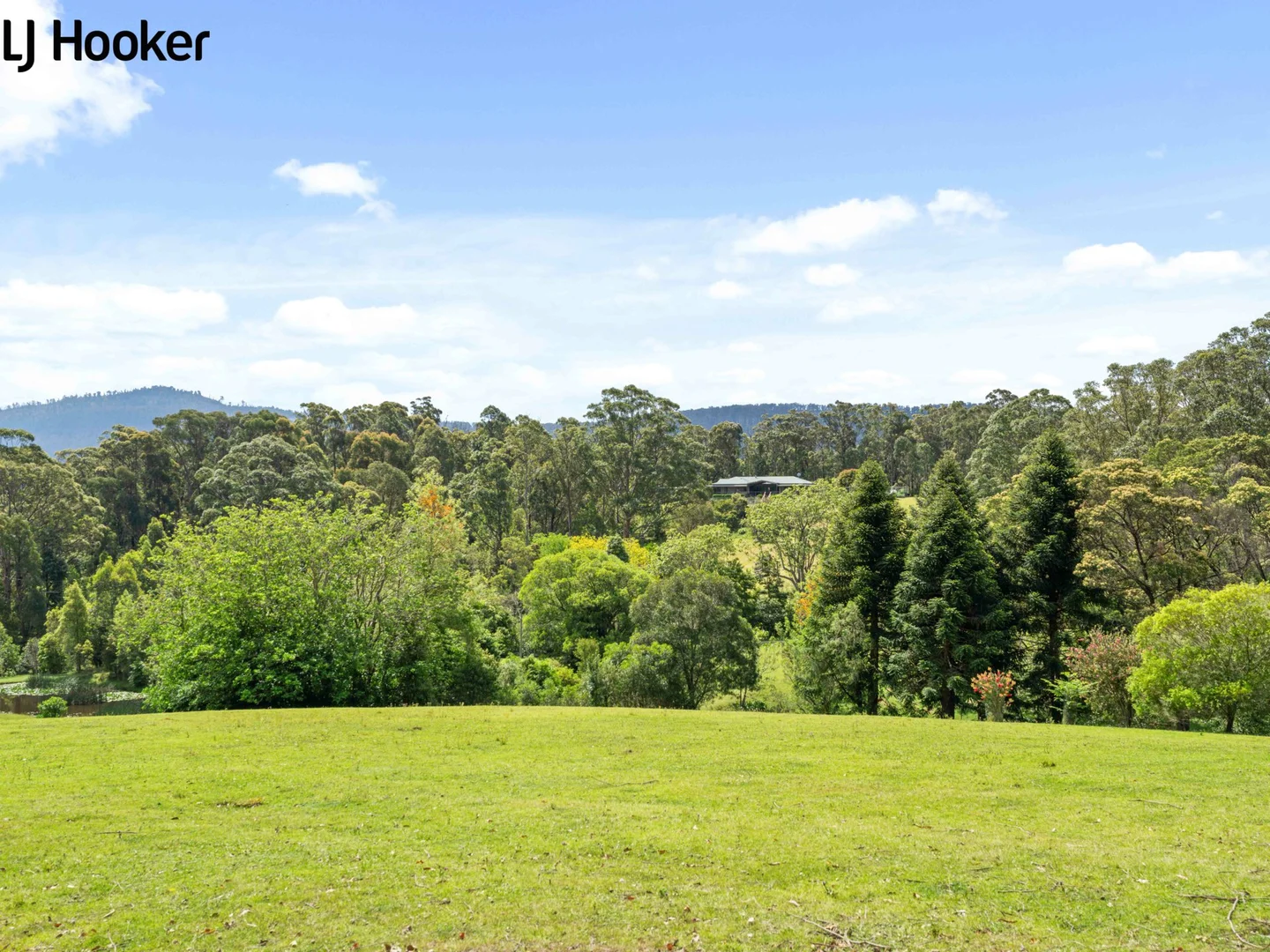 Additional image 26 of 788 Bugong Road, Budgong, Kangaroo Valley NSW 2577