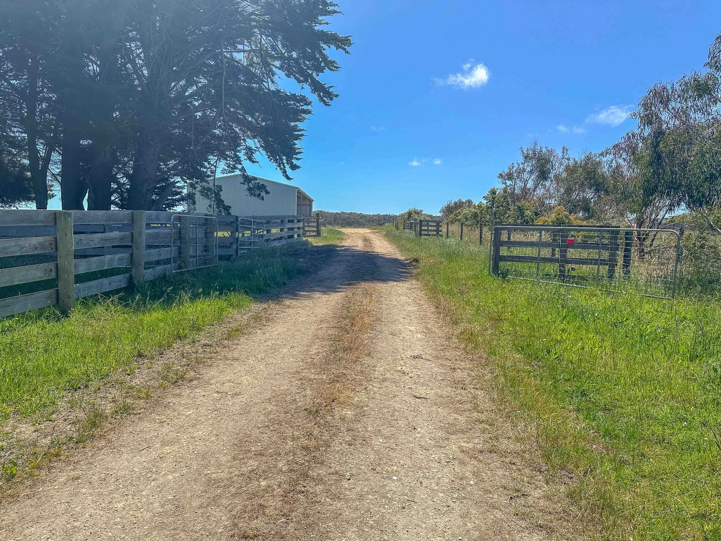 Additional image 7 of 773 Portland-Nelson Road, Gorae West VIC 3305