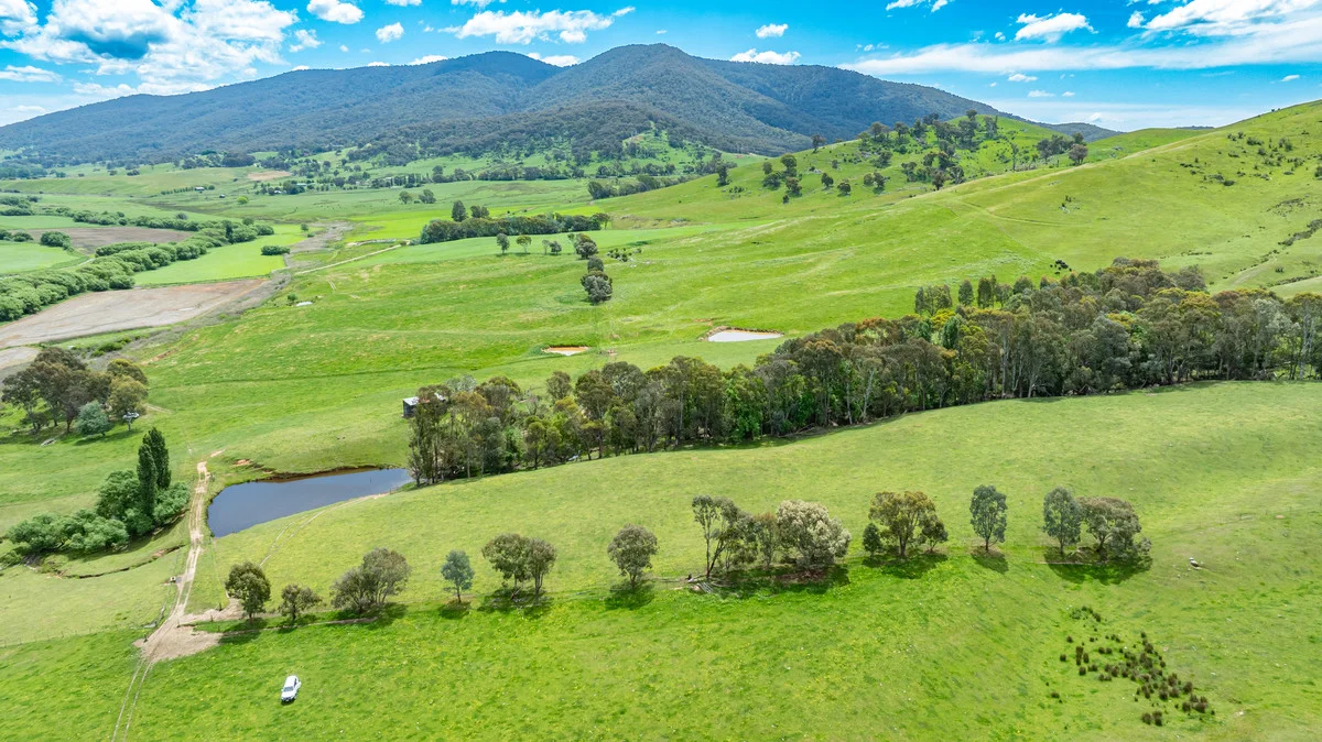 Swamp Lane, Dederang VIC 3691