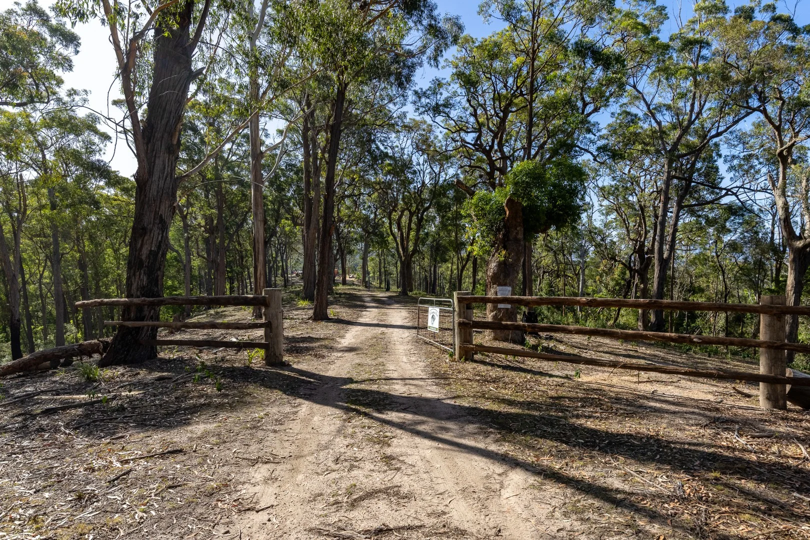 464 Dorrigo Road, Brogo NSW 2550