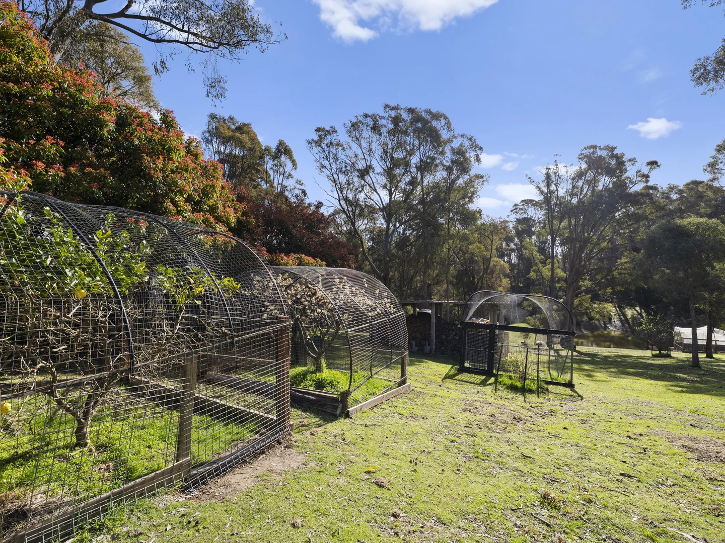 Additional image 24 of 2101 Maintongoon Road, Woodfield VIC 3715