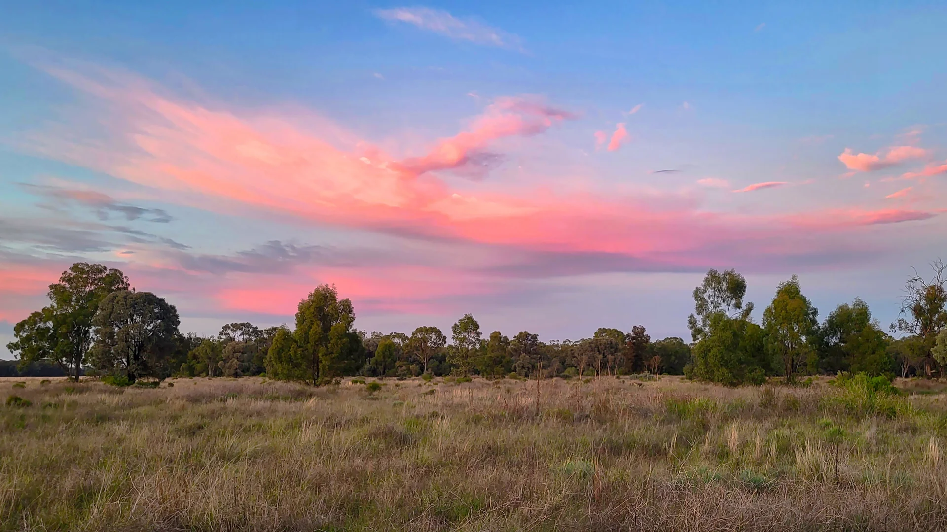 Additional image 27 of 296 Forest Way, Wee Waa NSW 2388