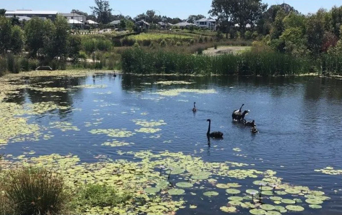 Additional image 22 of 30 Tiger Drive, Arundel QLD 4214