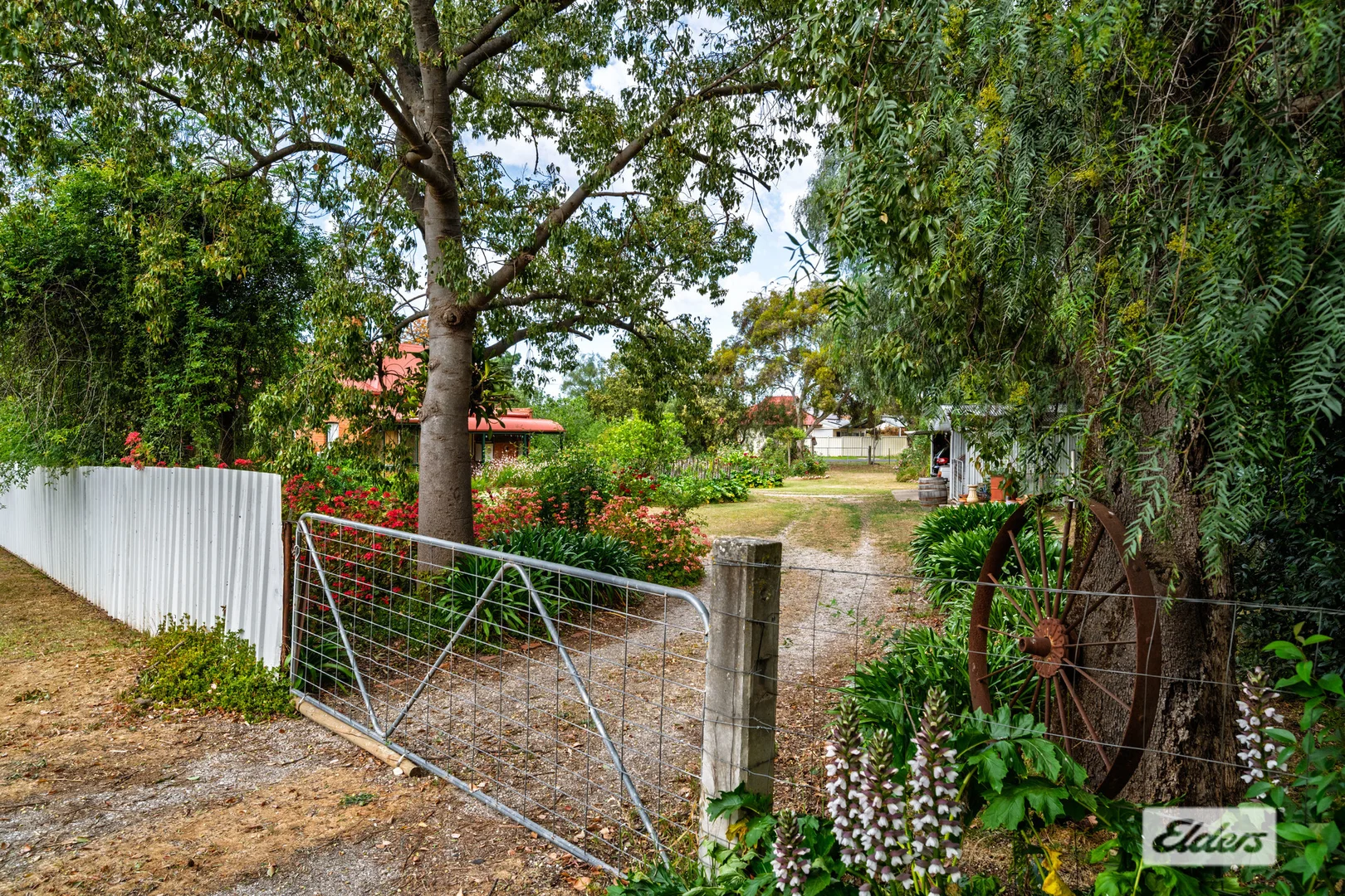 Additional image 19 of 41-43 Howlong Road, Rutherglen VIC 3685